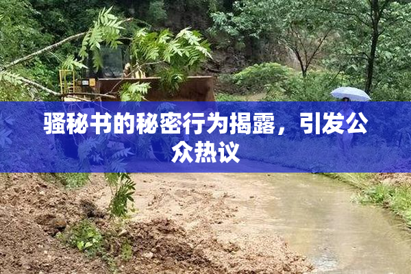 骚秘书的秘密行为揭露，引发公众热议