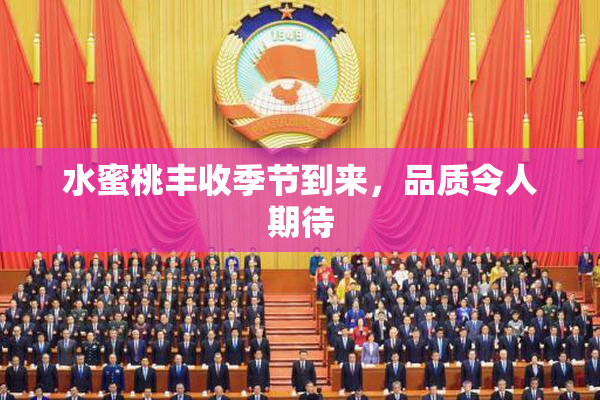 水蜜桃丰收季节到来，品质令人期待