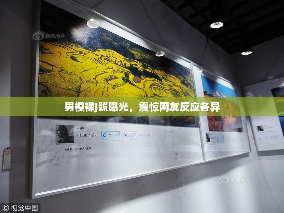 男模裸J照曝光，震惊网友反应各异