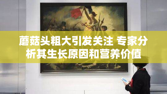 蘑菇头粗大引发关注 专家分析其生长原因和营养价值