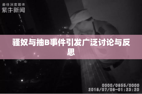 骚奴与抽B事件引发广泛讨论与反思