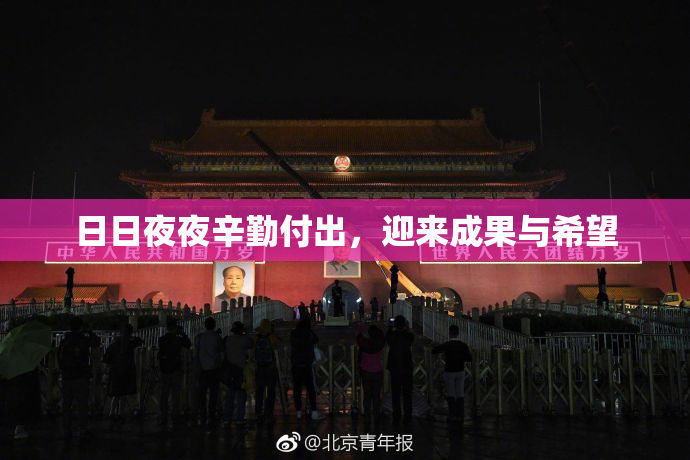 日日夜夜辛勤付出，迎来成果与希望