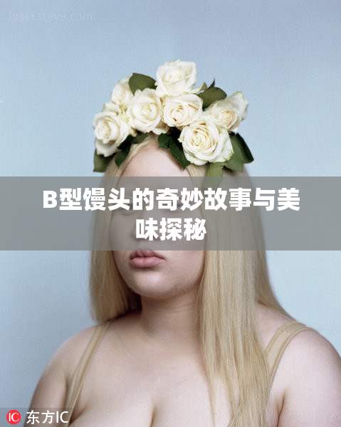 B型馒头的奇妙故事与美味探秘