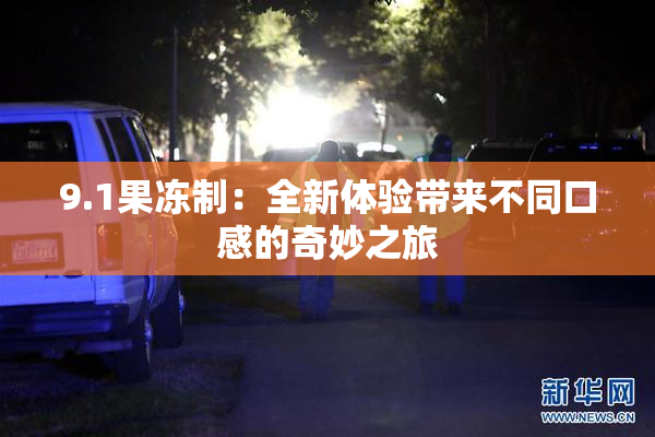 9.1果冻制：全新体验带来不同口感的奇妙之旅