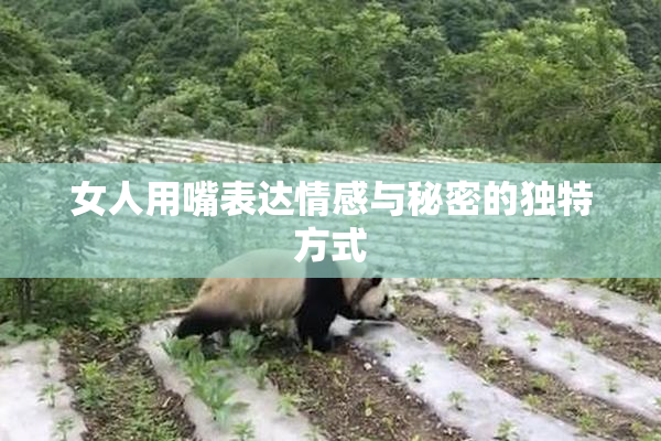 女人用嘴表达情感与秘密的独特方式