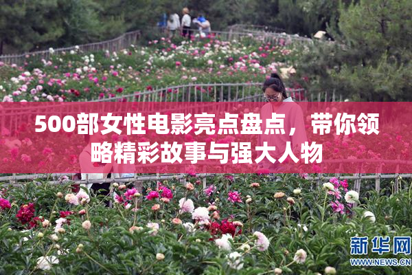 500部女性电影亮点盘点，带你领略精彩故事与强大人物