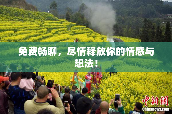 免费畅聊，尽情释放你的情感与想法！