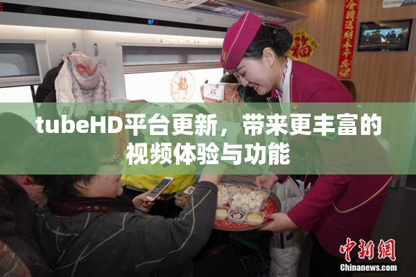 tubeHD平台更新，带来更丰富的视频体验与功能