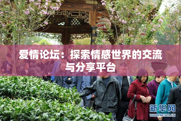 爱情论坛：探索情感世界的交流与分享平台