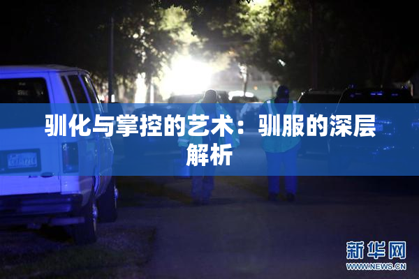 驯化与掌控的艺术：驯服的深层解析