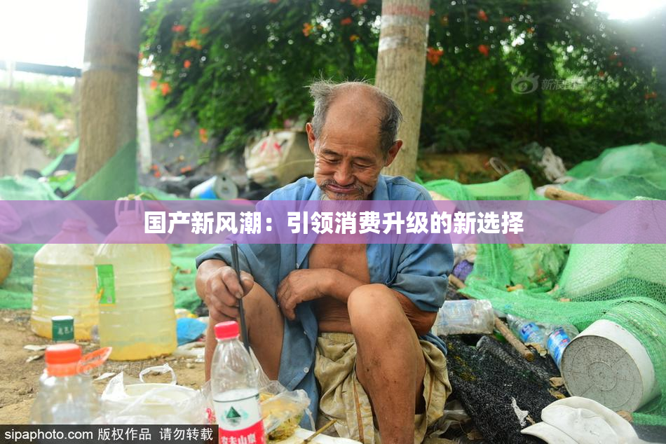 国产新风潮：引领消费升级的新选择