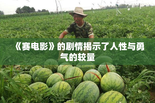 《赛电影》的剧情揭示了人性与勇气的较量