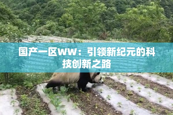 国产一区WW：引领新纪元的科技创新之路