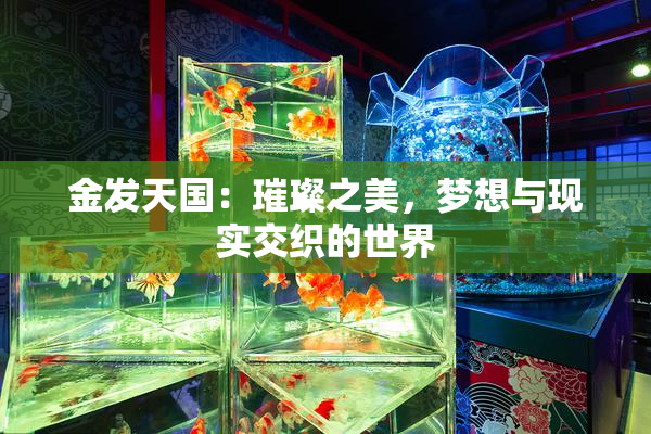 金发天国：璀璨之美，梦想与现实交织的世界