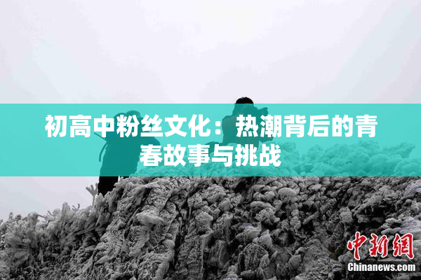 初高中粉丝文化：热潮背后的青春故事与挑战