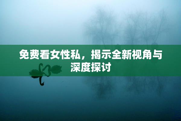 免费看女性私，揭示全新视角与深度探讨