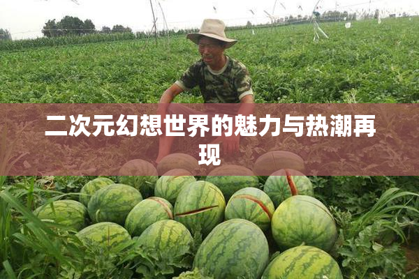 二次元幻想世界的魅力与热潮再现