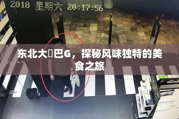 东北大鷄巴G，探秘风味独特的美食之旅