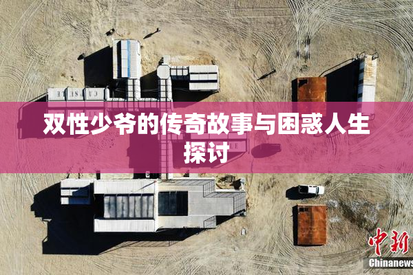双性少爷的传奇故事与困惑人生探讨