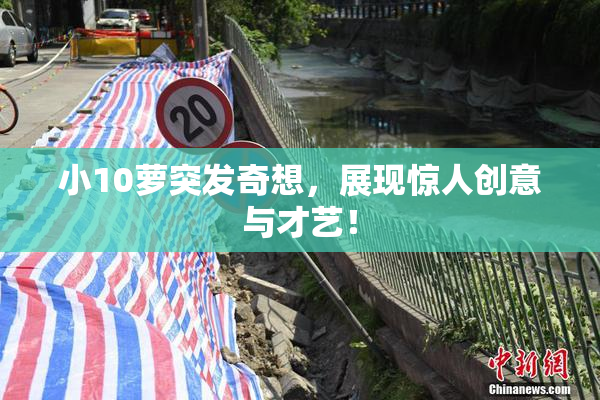 小10萝突发奇想，展现惊人创意与才艺！