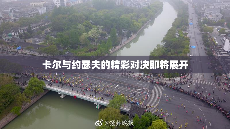 卡尔与约瑟夫的精彩对决即将展开