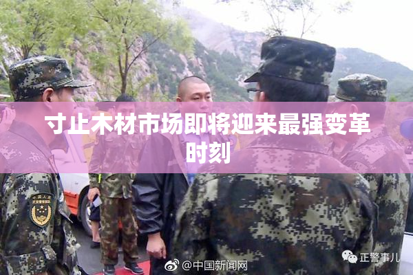 寸止木材市场即将迎来最强变革时刻