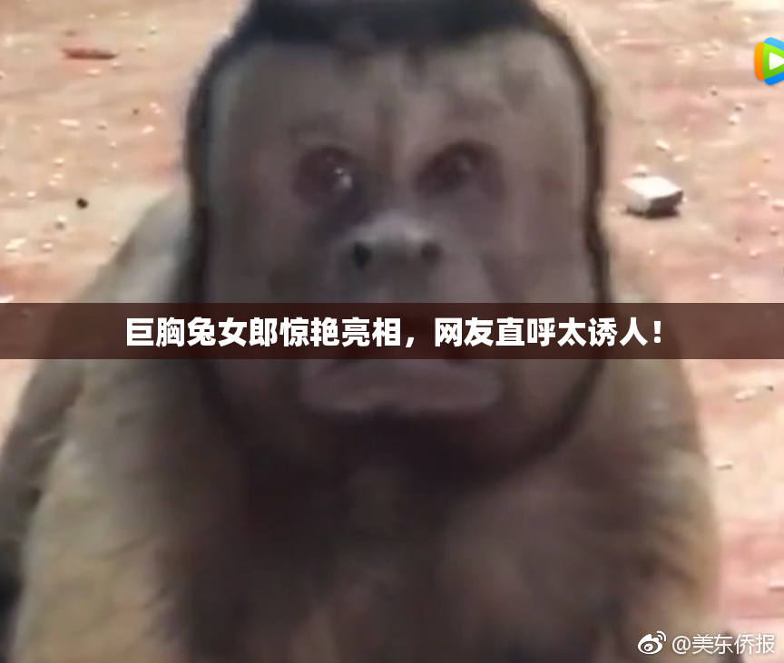 巨胸兔女郎惊艳亮相，网友直呼太诱人！