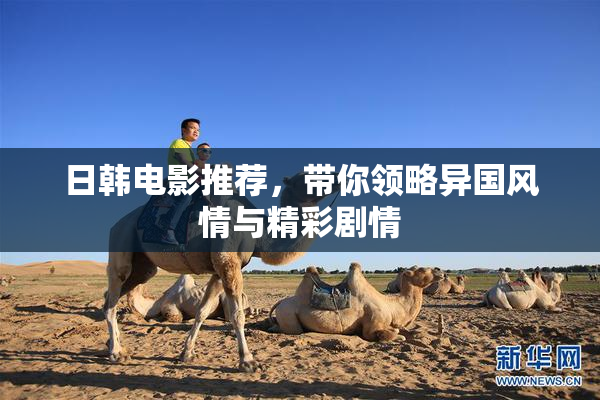 日韩电影推荐，带你领略异国风情与精彩剧情