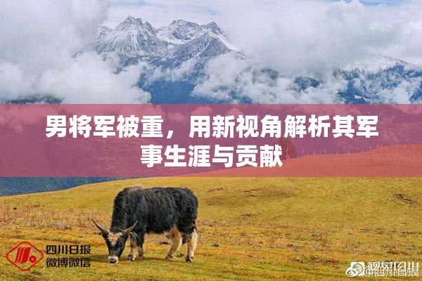 男将军被重，用新视角解析其军事生涯与贡献