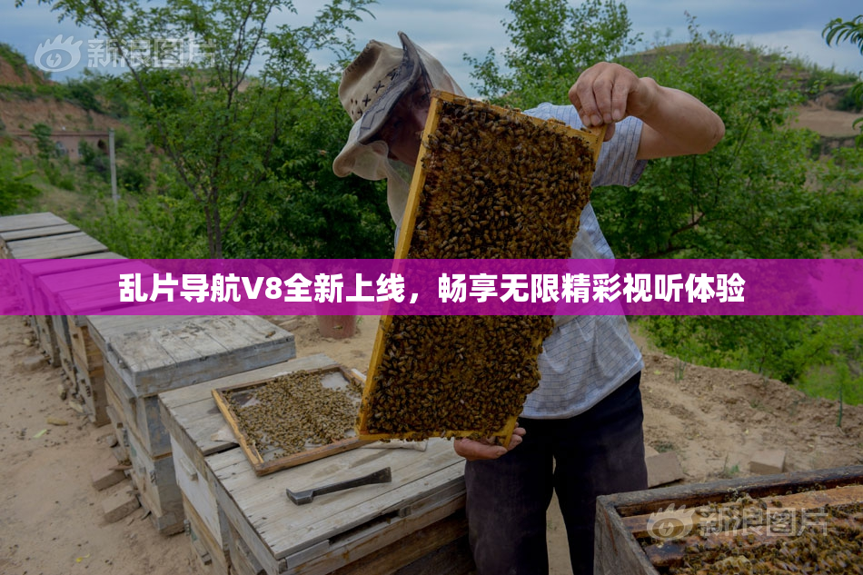 乱片导航V8全新上线，畅享无限精彩视听体验