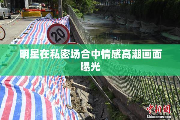 明星在私密场合中情感高潮画面曝光