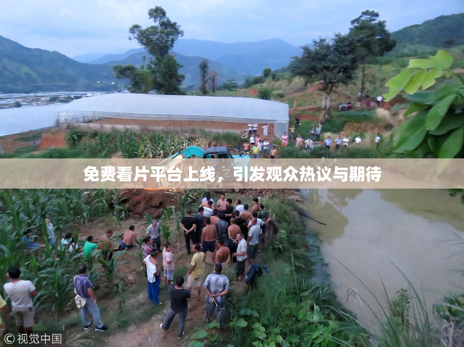 免费看片平台上线，引发观众热议与期待