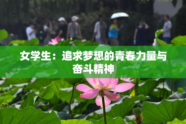 女学生：追求梦想的青春力量与奋斗精神