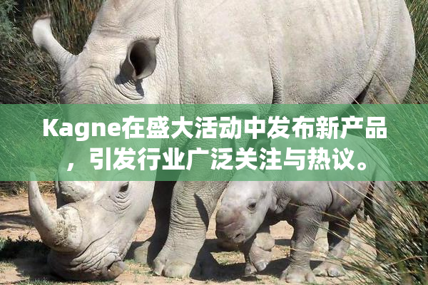 Kagne在盛大活动中发布新产品，引发行业广泛关注与热议。
