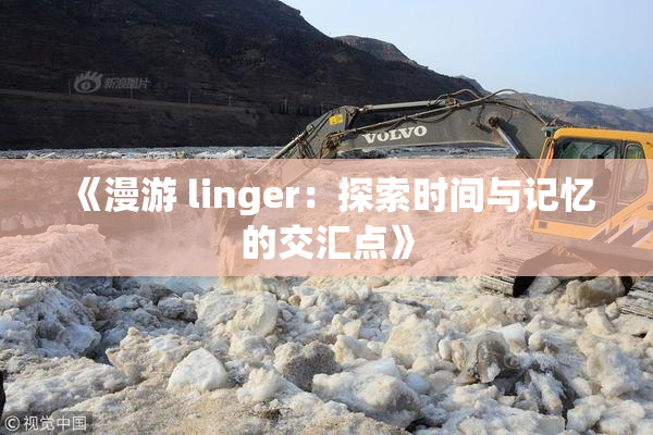 《漫游 linger：探索时间与记忆的交汇点》