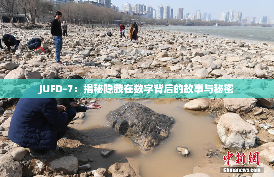 JUFD-7：揭秘隐藏在数字背后的故事与秘密
