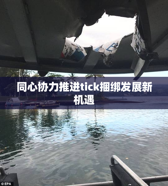 同心协力推进tick捆绑发展新机遇