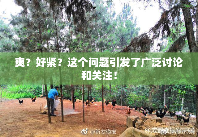 爽？好紧？这个问题引发了广泛讨论和关注！