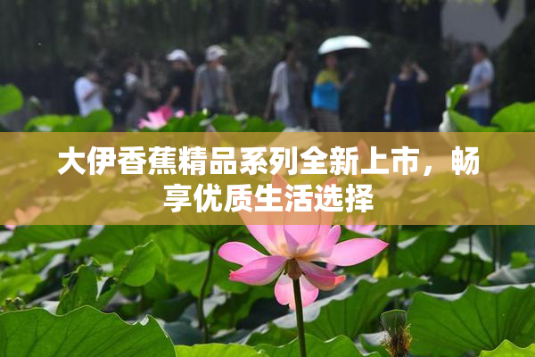 大伊香蕉精品系列全新上市，畅享优质生活选择