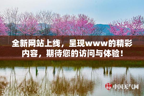 全新网站上线，呈现www的精彩内容，期待您的访问与体验！