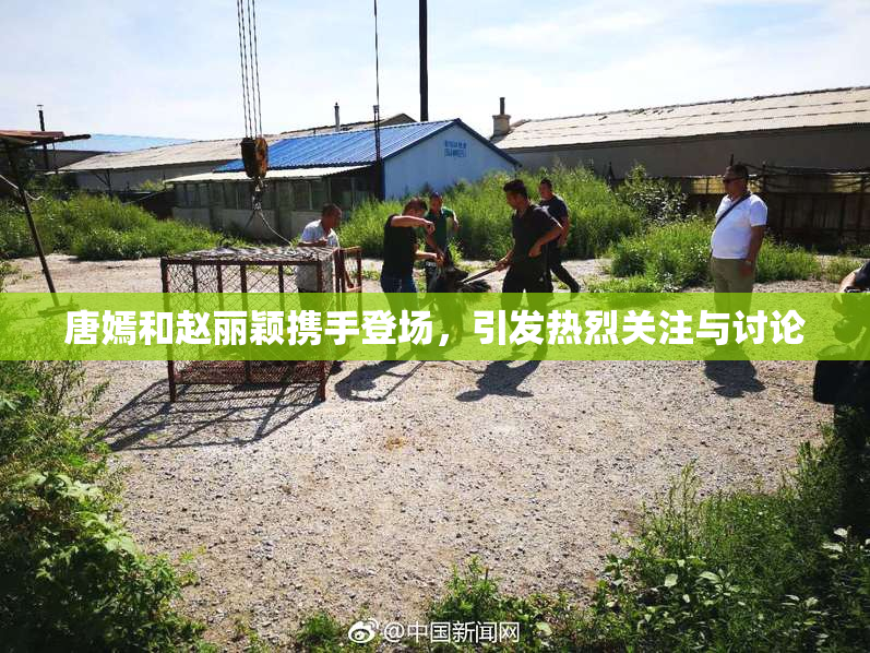 唐嫣和赵丽颖携手登场，引发热烈关注与讨论