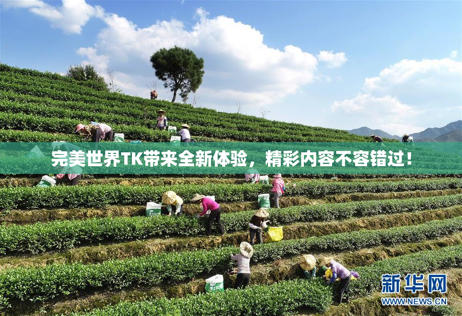 完美世界TK带来全新体验，精彩内容不容错过！