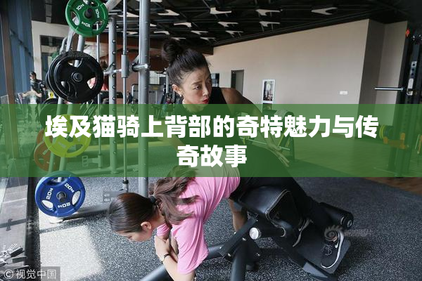 埃及猫骑上背部的奇特魅力与传奇故事