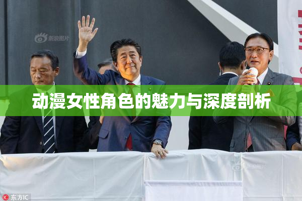 动漫女性角色的魅力与深度剖析