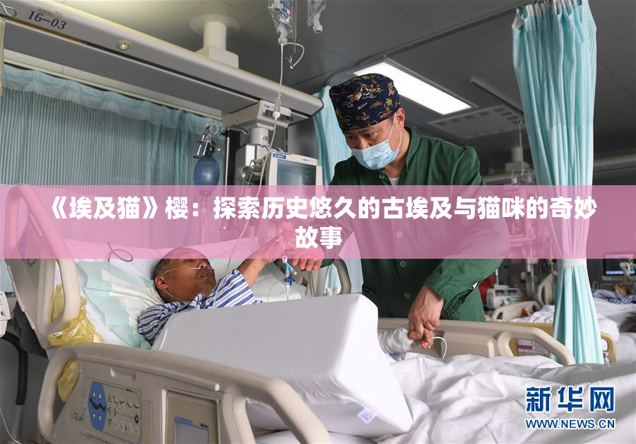《埃及猫》樱：探索历史悠久的古埃及与猫咪的奇妙故事
