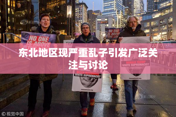 东北地区现严重乱子引发广泛关注与讨论