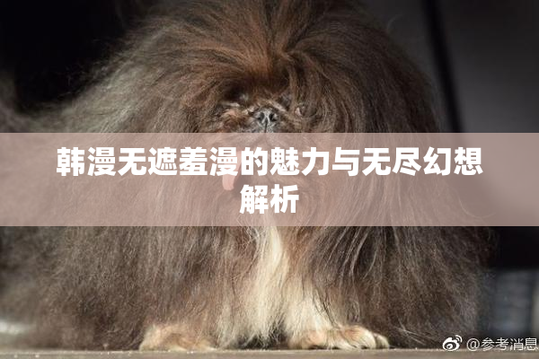 韩漫无遮羞漫的魅力与无尽幻想解析