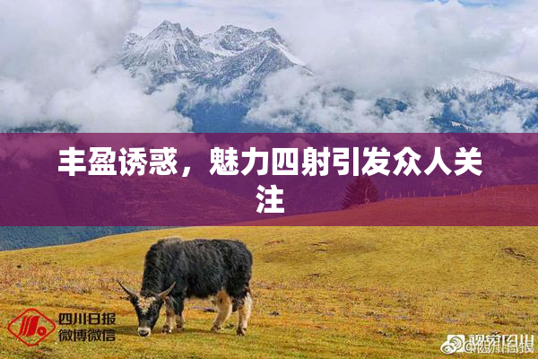 丰盈诱惑，魅力四射引发众人关注