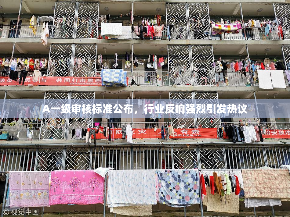 A一级审核标准公布，行业反响强烈引发热议