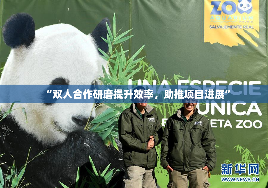“双人合作研磨提升效率，助推项目进展”